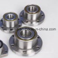 Deep Groove Ball Bearing with Housing